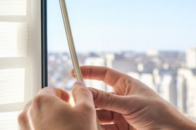 Professional Consultation